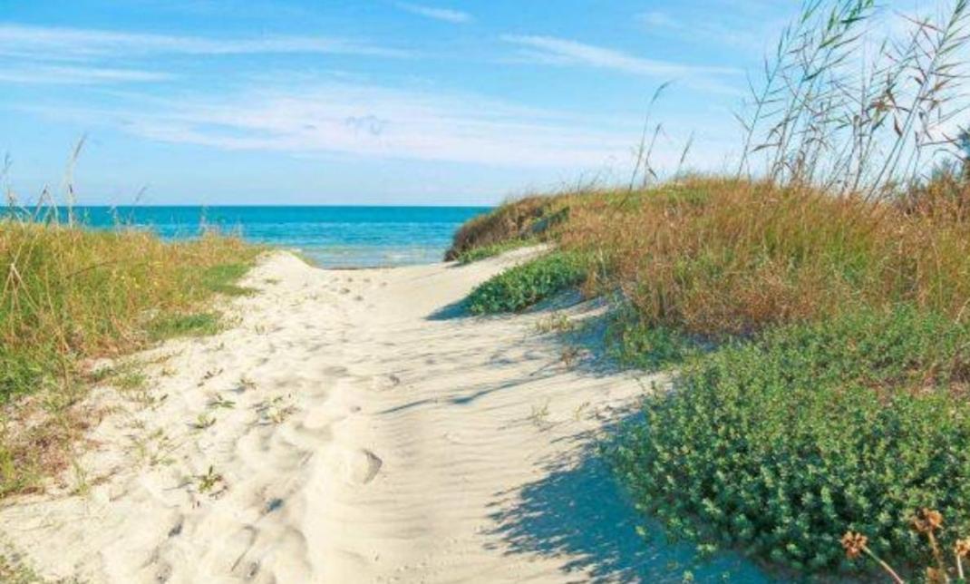House On The Beach * Calambrone